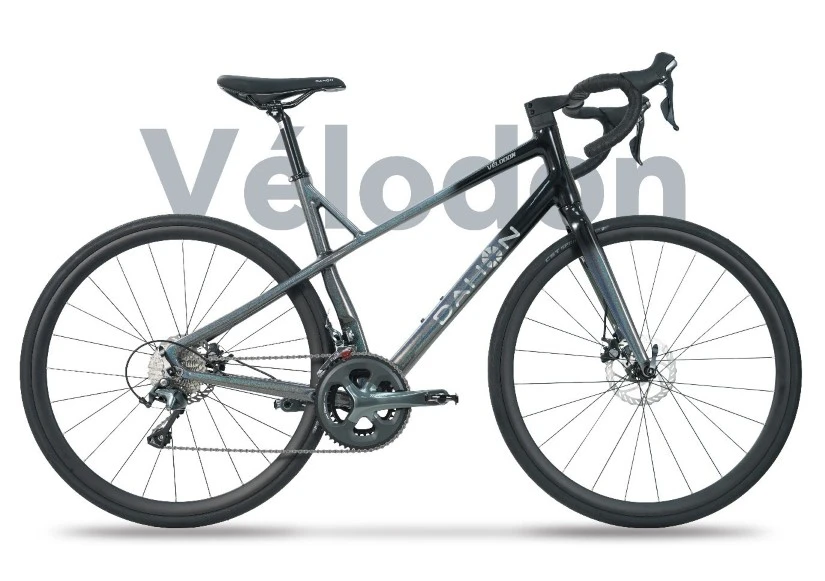 DAHON Gains Traction with "D-VELO"，Leading New Trends in Green Mobility-themed CCBI 2024