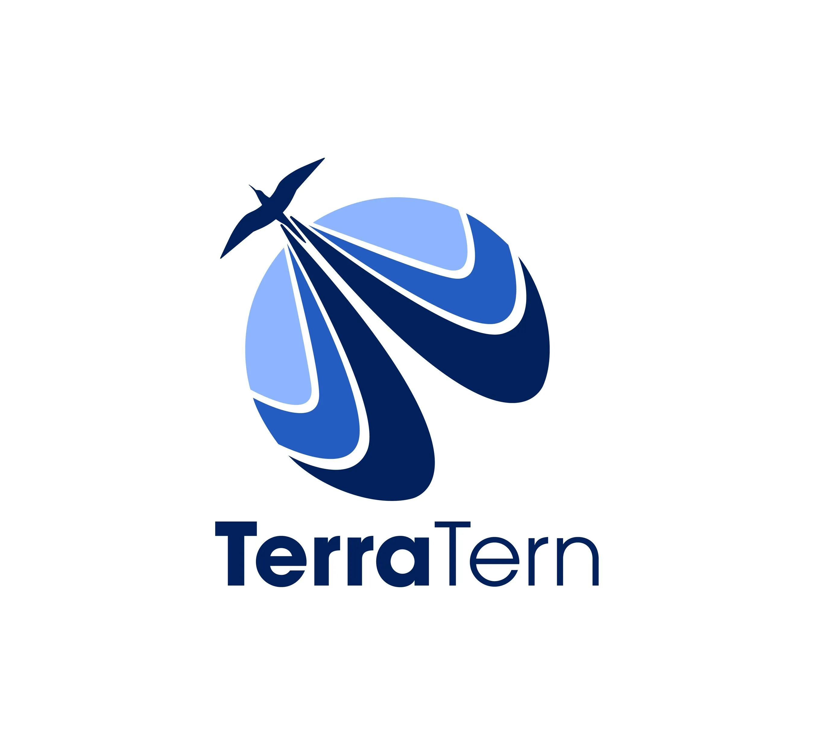 Bengaluru-based TerraTern Emerges As a Global Hub for AI-Powered Immigration, Work &amp; Study Abroad Guidance