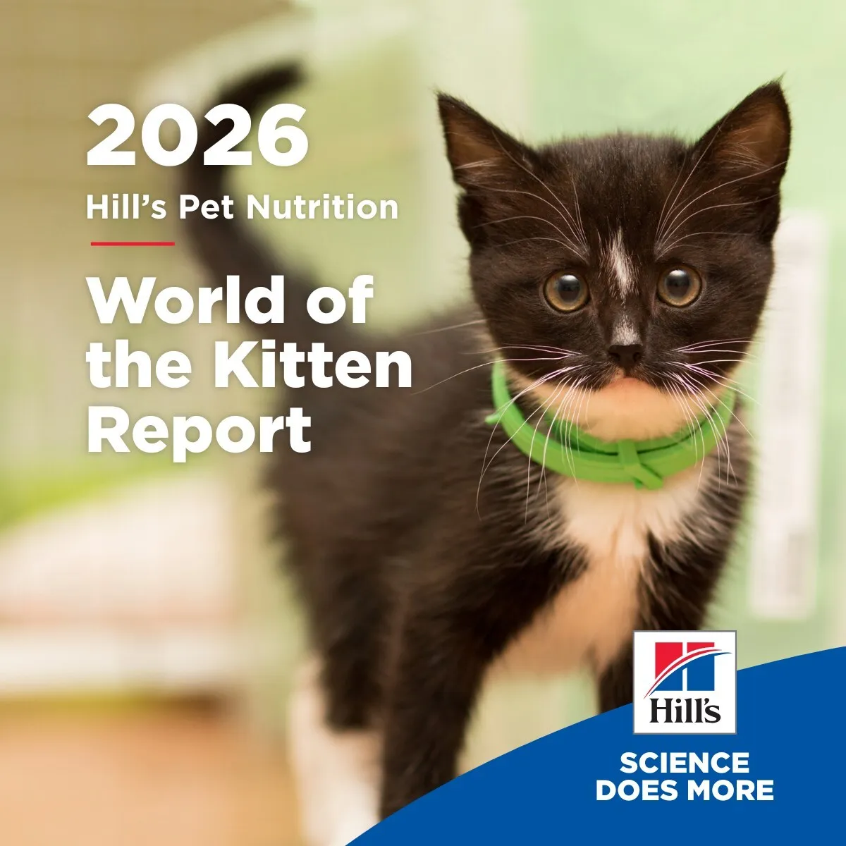 Blueprint for a Lifetime: Hill's 'World of the Kitten' Report Supports Veterinary Teams & Pet Parents in Navigating the Critical First Year